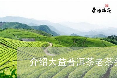 介绍大益普洱茶老茶头/2023062246171