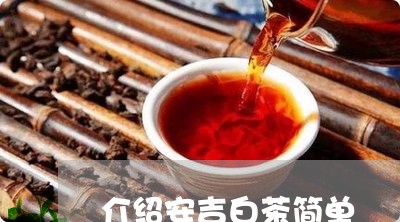 介绍安吉白茶简单/2023061518372