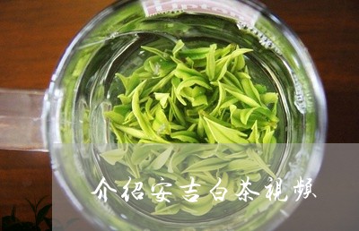 介绍安吉白茶视频/2023061556513