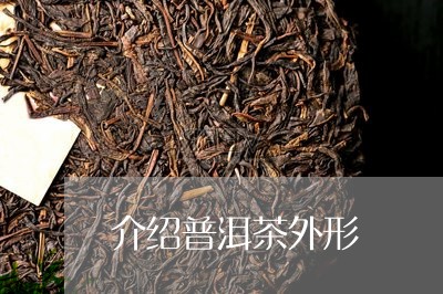 介绍普洱茶外形/2023082800503