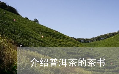 介绍普洱茶的茶书/2023110361604