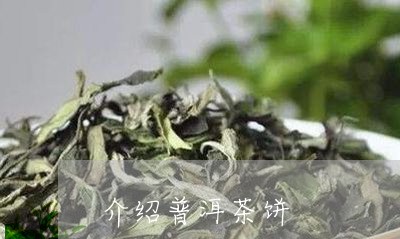 介绍普洱茶饼/2023091311684