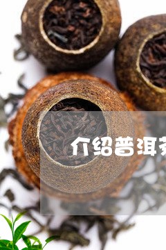 介绍普洱茶龙珠/2023120395958