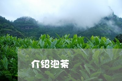 介绍泡茶/2023090167261