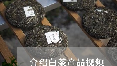 介绍白茶产品视频/2023061527281