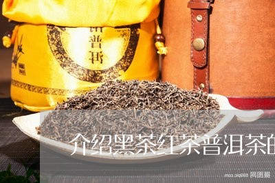 介绍黑茶红茶普洱茶的/2023080305827