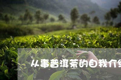 从事普洱茶的自我介绍/2023101729573