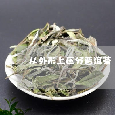 从外形上区分普洱茶/2023091541504