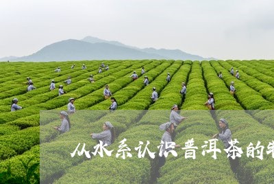 从水系认识普洱茶的特点/2023102455383