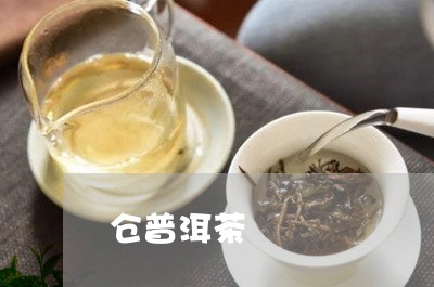 仓普洱茶/2023110893969