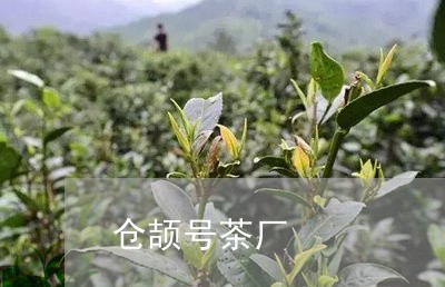 仓颉号茶厂/2023090252925