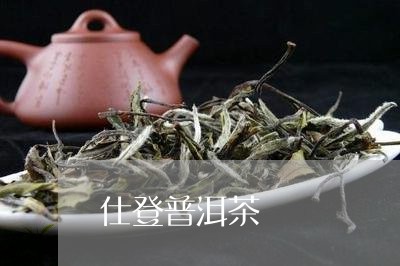 仕登普洱茶/2023090611717