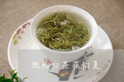 他的白茶花初夏/2023121620803