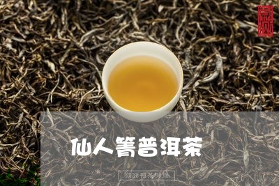 仙人箐普洱茶/2023042685746