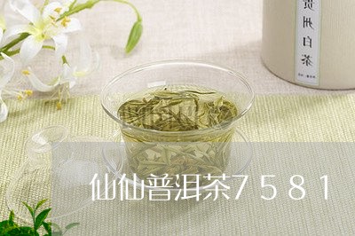 仙仙普洱茶7581/2023120583806