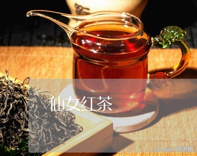 仙女红茶/2023121936392