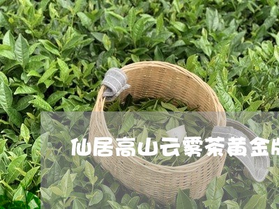 仙居高山云雾茶黄金版价格/2023051143609