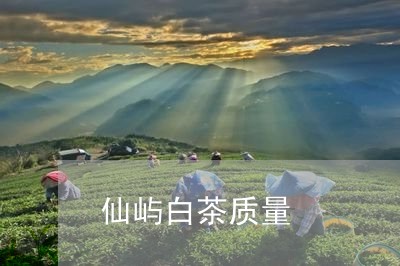 仙屿白茶质量/2023051219514