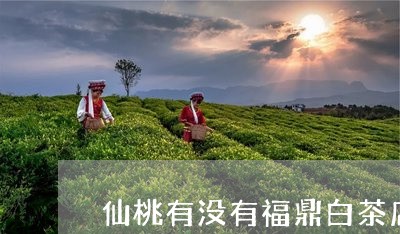 仙桃有没有福鼎白茶店铺/2023092116060