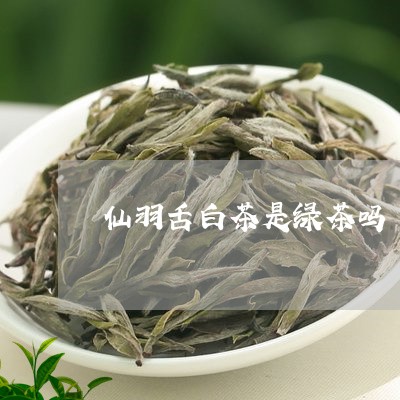 仙羽舌白茶是绿茶吗/2023121666059