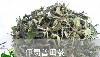 仟易普洱茶/2023110582726