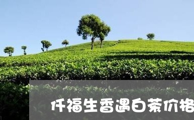 仟福生香遇白茶价格/2023121674230