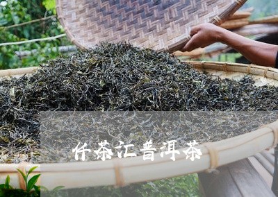 仟茶汇普洱茶/2023042810178