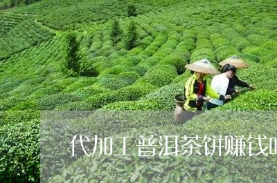 代加工普洱茶饼赚钱吗/2023112739582