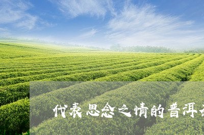 代表思念之情的普洱茶是什么茶/2023082840782