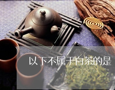 以下不属于白茶的是/2023071558381