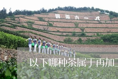 以下哪种茶属于再加工茶/2023080973826