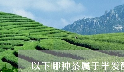 以下哪种茶属于半发酵茶/2023080942524