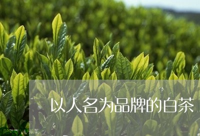 以人名为品牌的白茶/2023071539372