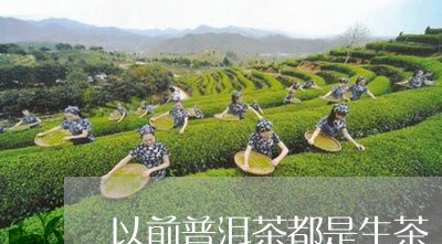 以前普洱茶都是生茶/2023070925940