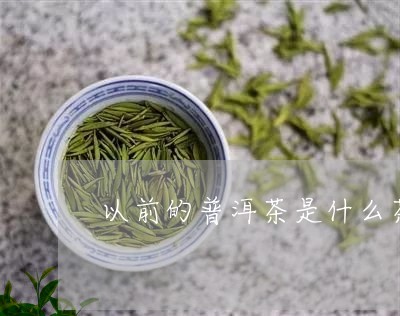 以前的普洱茶是什么茶/2023063072905