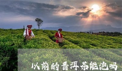 以前的普洱茶能泡吗/2023091523614