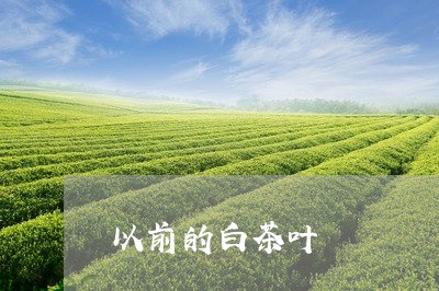 以前的白茶叶/2023051258492