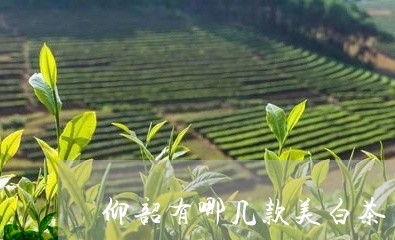 仰韶有哪几款美白茶/2023071491616