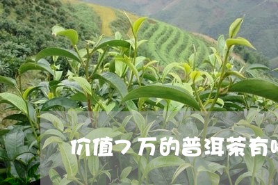 价值7万的普洱茶有哪些/2023082887281