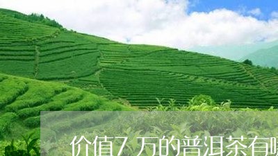 价值7万的普洱茶有哪些/2023110512613