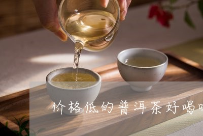 价格低的普洱茶好喝吗/2023073015049