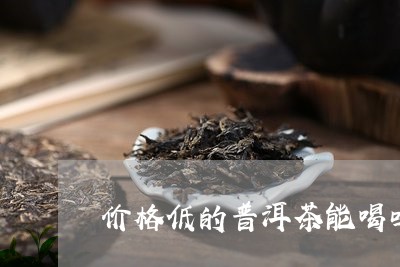 价格低的普洱茶能喝吗/2023062018381