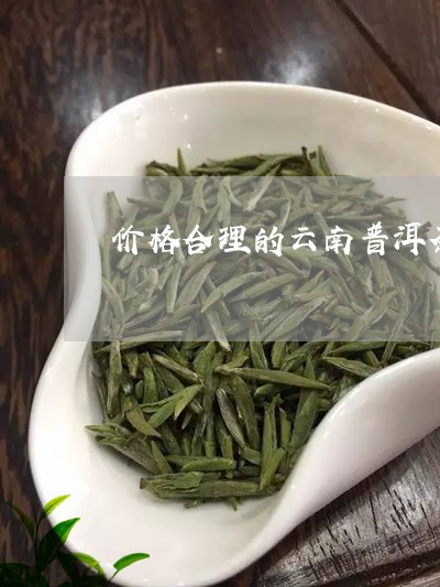 价格合理的云南普洱茶/2023062294839