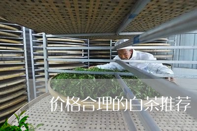 价格合理的白茶推荐/2023071447491