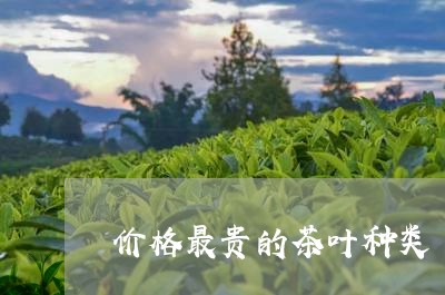 价格最贵的茶叶种类/2023042619513