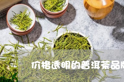 价格透明的普洱茶品牌/2023120606139