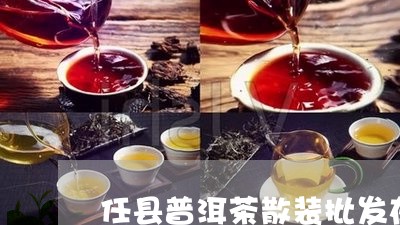 任县普洱茶散装批发在哪里/2023082867582