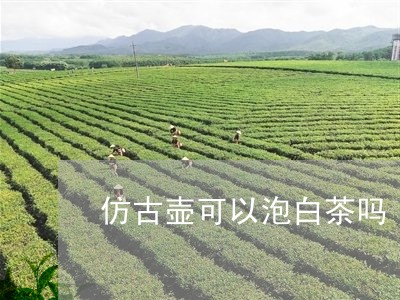 仿古壶可以泡白茶吗/2023071471582