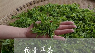 仿普洱茶/2023110819962