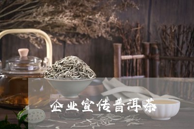 企业宣传普洱茶/2023101680614